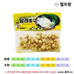 헬프팜  달래종구 30g 달래씨 종자 씨앗 세계종묘 : 헬프팜-help.farm