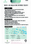 사라다양상추 씨앗 종자1000립 : 하우투팜