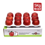 문경 사과 선물세트 부사 꿀사과 9.소과 5kg 24과 선물용, 5kg, 1개 : 문경 명품농원