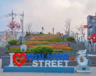 강원도버스투어 뚜벅이 패키지 강릉 속초 양양 하슬라아트월드 당일치기 국내기차여행 1박2일 : 핫플트립