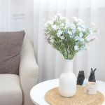 이너스 조화 물안개 1P : 샤이닝홈