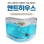 개미 집 키우기 앤트 하우스 기억 자형 관찰 만들기세트 : 스마트초이스M
