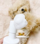 정글몬스터 뽀독뽀독 워터리스 강아지 발 세정제 샴푸 150ml 산책 발바닥 발사탕 : 정글몬스터