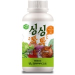싱싱톡톡 500ml 코리아아그로 농산물 수확물 신선도증가 식물영양제 : 식물나라스토어