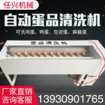 닭알 계란 거위 오리 닭 달걀 지동 세척기 스텐레스 : 해피 패밀리