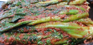 해남해주네김치 보리열무김치2kg 땅끝마을김치 (홍고추, 보리밥,찹쌀) 젓갈맛이 일품 : 해남해주네김치