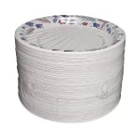 코스트코 삼풍 친환경 종이접시 대 26cm x 120매 : allNew