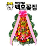 부산롯데갤러리움 결혼식 화환 꽃배달 : 정직한꽃배달 백호꽃집