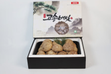 천고송 송화 송고 송이 무농약 친환경 고송버섯 (특상) 약 1.2kg : 천고송