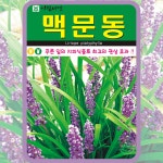 맥문동 씨앗 100립 산나물 종자 토속 민속 채소 아람종묘 : 농사마트