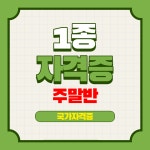 드론 1종 국가자격증 (주말반/15일과정) : 드론국가자격증