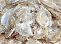 강일건어물 동전쥐포 1kg 꼬마쥐포 : 주식회사 농업회사법인 대진