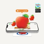 파닉스팝 YBM 파닉스 영어 회화 발음 홈스쿨링 : 플레이큐리오