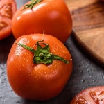 의령상회 찰토마토 10kg : 청량리종합시장 협동조합