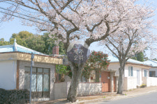 [봄은 그러했다, 위미리마을] 아름다운 일상 / 제주2리 / 마을 : 제주2리