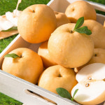 서부상회 배 15kg : 청량리종합시장 협동조합