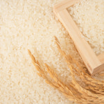 이천농산 찹쌀10kg : 이천농산