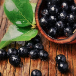 동도상회 아로니아 1kg : 청량리종합시장 협동조합