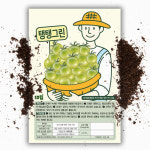 탱탱그린 토마토씨앗 10립 토마토씨 종자 : 씨앗팜
