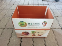 새콤달콤 짭짤한 고당도 으뜸 토마토 2.5kg : 청년농부 박문수농장