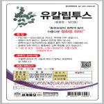 유칼립투스씨앗 씨 종자 10립 : 모두다팜 농자재