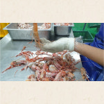 딱새우 회 횟감 제주 딱세우 1kg : 고기바다냉장고