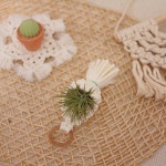 [DIY키트] 마크라메 미니 물방울 이오난사 플랜트행잉 만들기 : 제이유상점