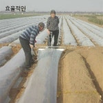 쉬운 1인용 비닐 피복기 멀칭기 무동력 농기구 기타 농기구  농장  밭 : gaon무역