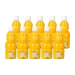 제주향 감귤 한라봉 100 프로 착즙 주스 330ml (10개) NFC 제주 천연 프리미엄 : 아슈테