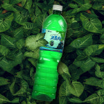 지리산 하동 고로쇠 수액  1.5L 6병 12병 산지직송 : 정다운쇼핑