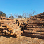 [개인]참나무 통나무 30cm 3루베 : 서경하우스