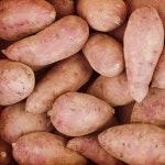 아이스 고구마 냉동 군고구마 해남 100gx10봉/ 달콤공주 꿀고구마 : 더좋은푸드