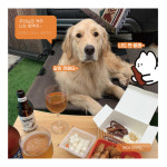 멍맥주 강아지 전용 무알콜 맥주 음료 반려견 생일상 생일파티 캠핑 피크닉 220ml : 펫베이커리 파프 FAAF