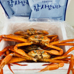홍게 홑게 대게 제철 시세 후포리 박달홍게 연지 3kg+1kg : 고기바다냉장고