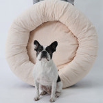 레드퍼피 무드원 대형견 펫쿠션 대행견방석 : REDPUPPY