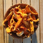 늙은호박 고지 말랭이 100g 국산 : 품안 농장