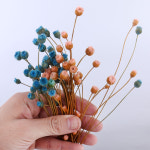 자연 말린 50Pcs 꽃 작은 국화 해피플라워 부케 Boho 홈 액세서리 데코 웨딩 : 가로수-1