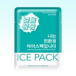 친환경아이스팩 완제품 16x23cm 32개 물100 얼음꽁꽁 : 태인MALL