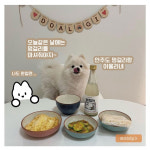 멍걸리 강아지 전용 무알콜 막걸리 음료 반려견 생일상 생일파티 캠핑 피크닉 270ml : 펫베이커리 파프 FAAF