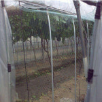 정원그물 격자망 덩굴 등반 과수원 퇴치망 격자 발코 : 조선만물상점