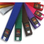 태권도띠순서 유도띠 태권도띠 주짓수띠 벨트 : 랑랑스토리