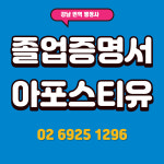 아포스티유 대행 : 강남번역행정사사무소