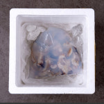 국내산 특품 새조개 500g 손질 샤브샤브 실중량 : 대한민국농수산