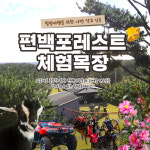 제주 편백포레스트 체험목장 이용권 / 제주도 ATV 어린이체험 동물 먹이주기 농장 : WEPICK