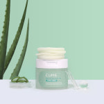 [김정문알로에] 리알로에 그린 릴렉싱 패드 60매, 2개 : 김정문알로에