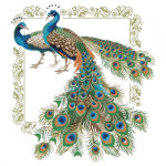 [십자수] YD 행운공작 40x43.5cm (14ct프린트원단패키지-5D) : 더십자수