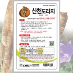 산천도라지 3000립 채소씨앗 도라지 종자 도라지무침 가드닝 주말농장 텃밭 세계종묘 : 농약사유