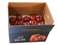 장수사과 부사 10Kg : 필이농장