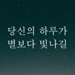 레터링 스티커 당신의 하루가 별보다 빛나길 검정S 19.5x7.5cm 거울 카페 유리창 : 어썸투데이