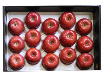 장수사과 부사 10Kg : 필이농장